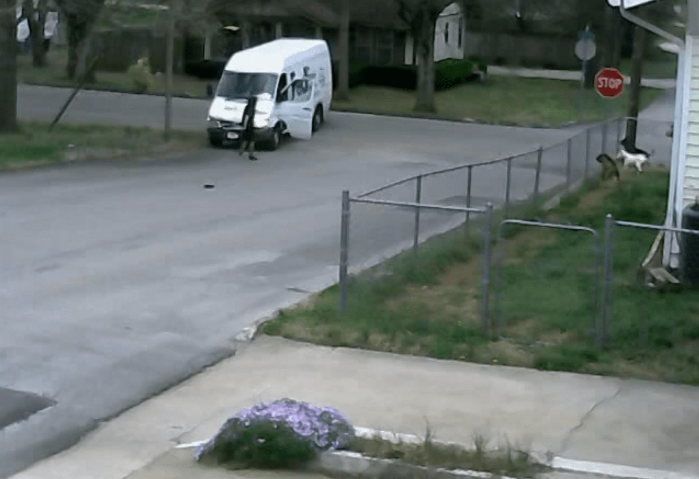 Video divertenti: autista del camioncino dimentica freno a mano, la gravità lo punisce