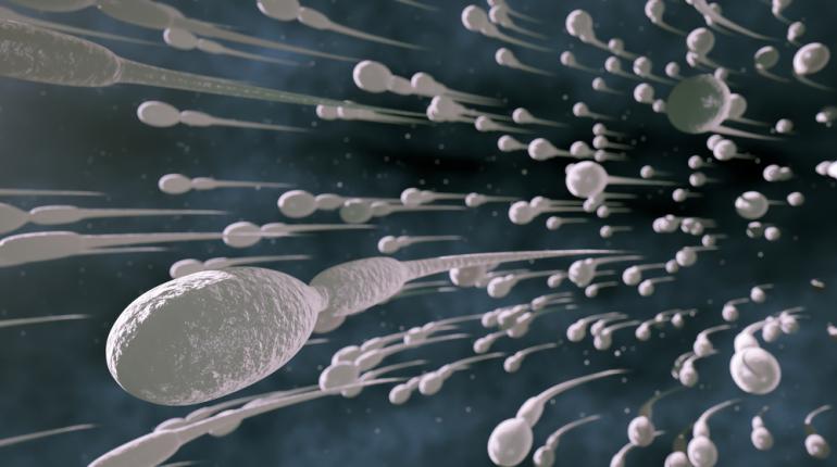 Spermatozoi-robot per combattere la sterilità