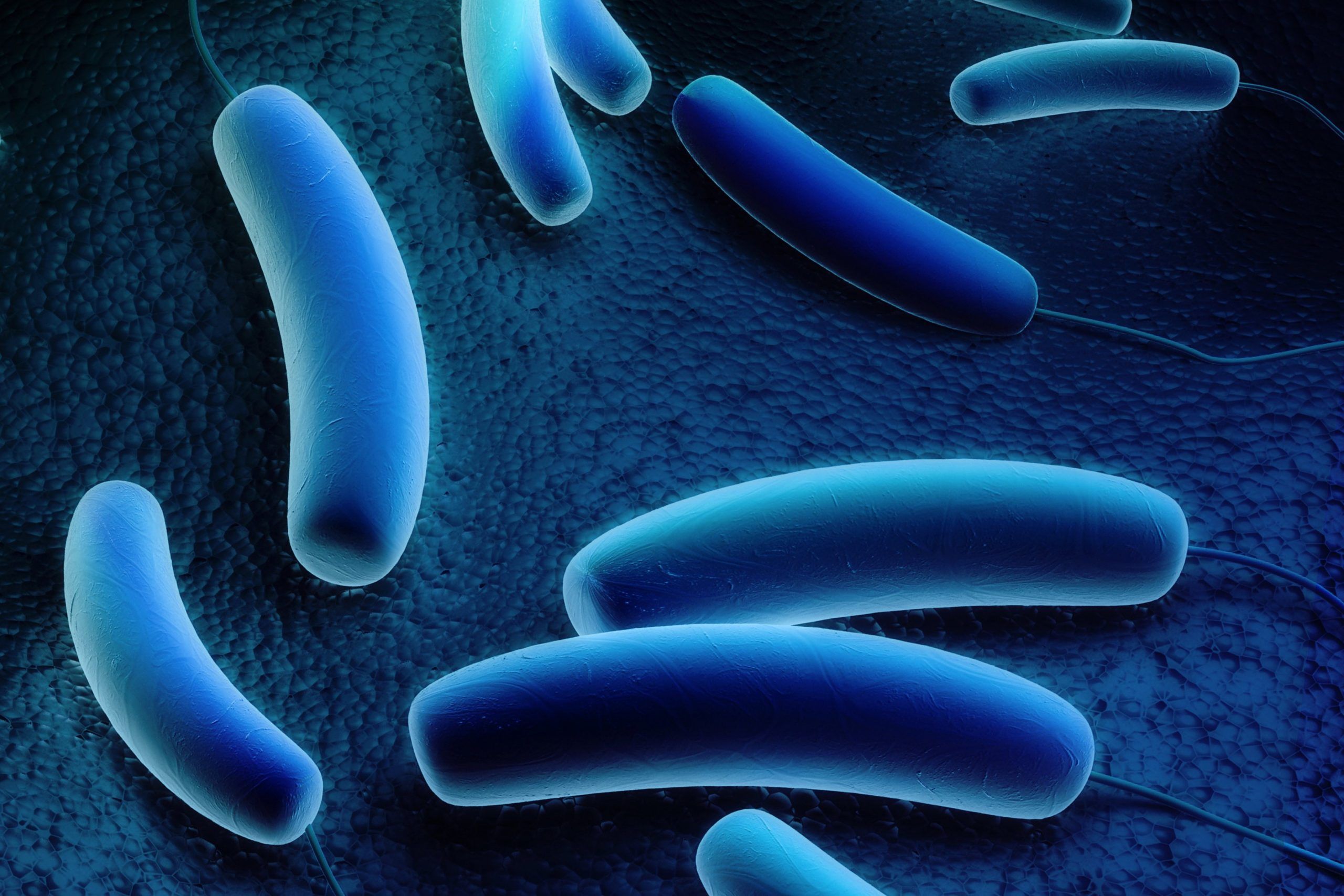 Legionella: come riconoscere i sintomi ed evitare il contagio