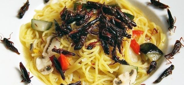 Milano: ristorante con insetti nel menù subisce un sequestro dalla Asl