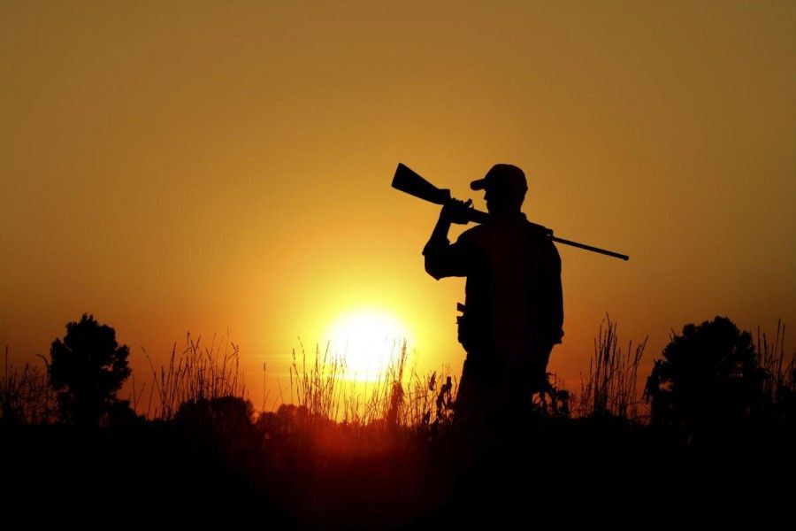 Cartucce da caccia: stop al piombo, è pericoloso