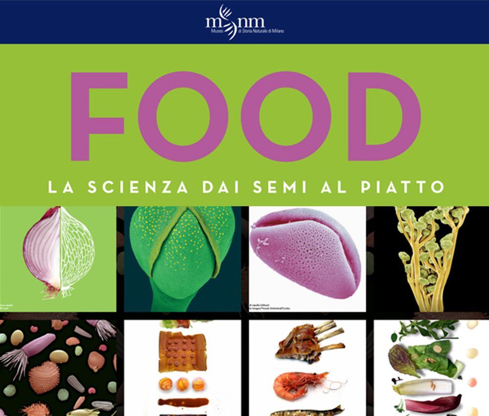 Mostra Food. La scienza dai semi al piatto: a Milano fino a giugno per Expo 2015