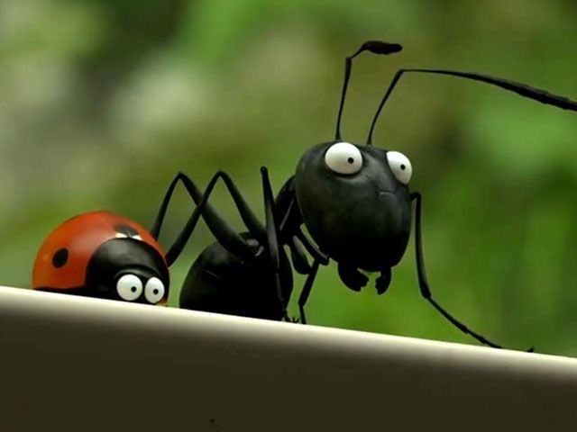 Minuscule - La Valle delle Formiche Perdute trailer italiano trama