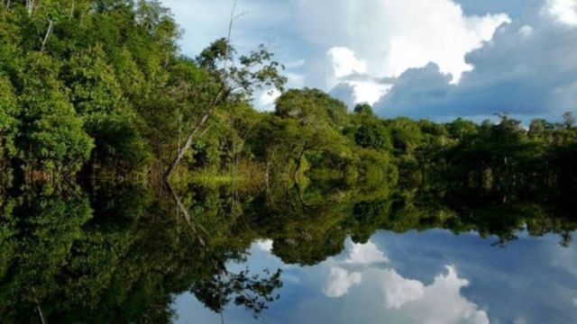 Ucciso Eusebio, indigeno Ka’apor che difendeva l’Amazzonia