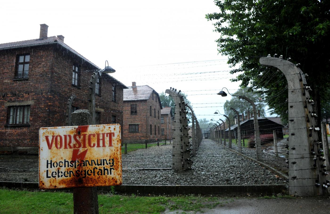 Docce rinfrescanti per i turisti di Auschwitz: un’offesa alla memoria?