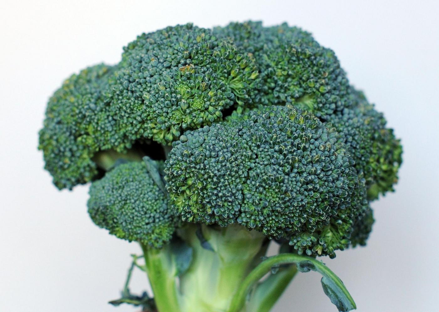 Cosa sono i broccoli e perché serve mangiarli?