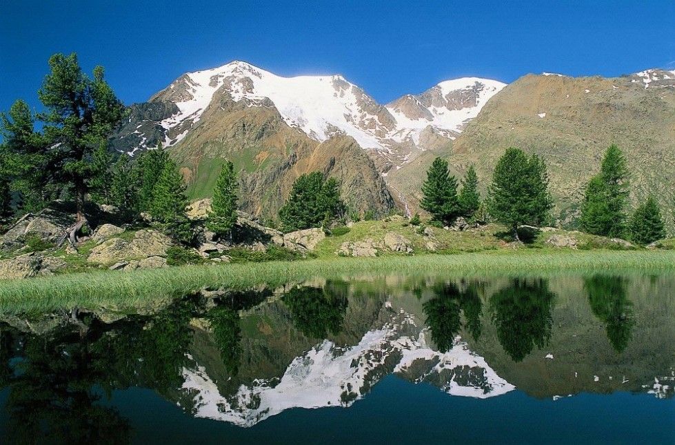Parchi nazionali d’Italia: la metà sono in condizioni precarie