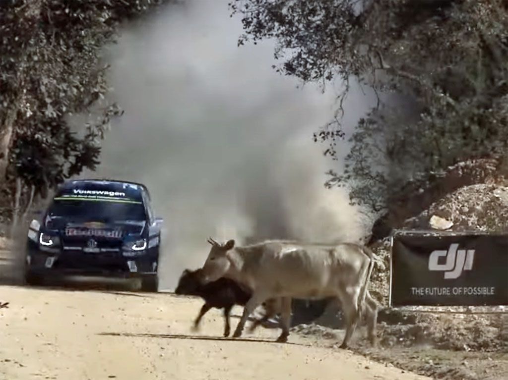 Ogier incidente