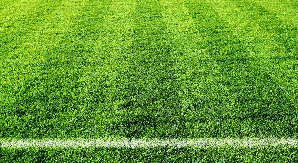 Campi di calcio in erba sintetica, sono dannosi per l’uomo?