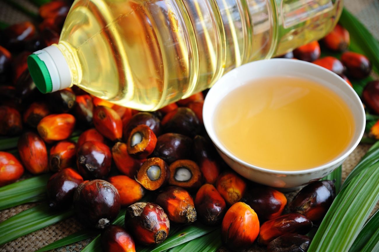 olio di palma cancerogeno