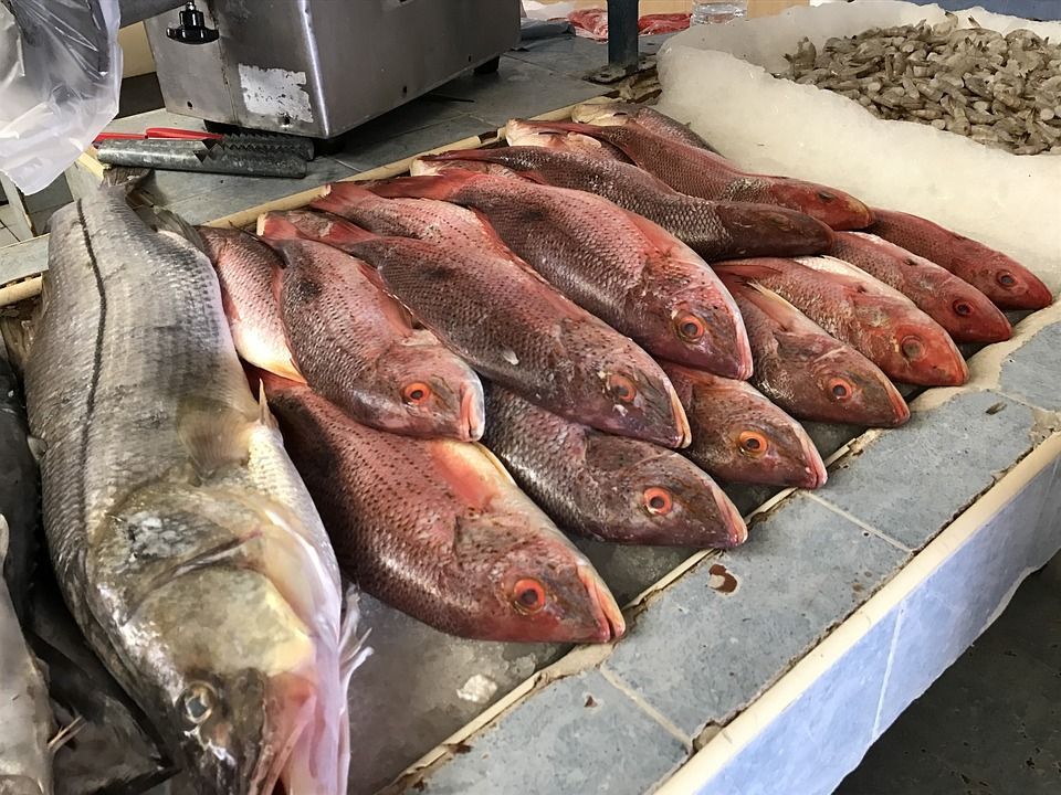 pesce fresco mercato