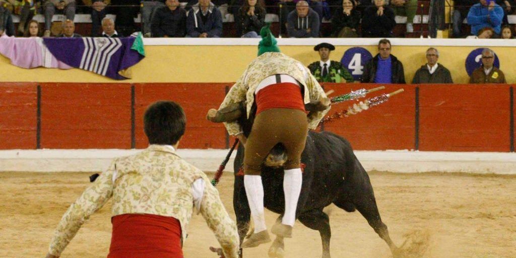 Torero morto durante corrida in Portogallo: affronta il toro a mani nude ma viene incornato