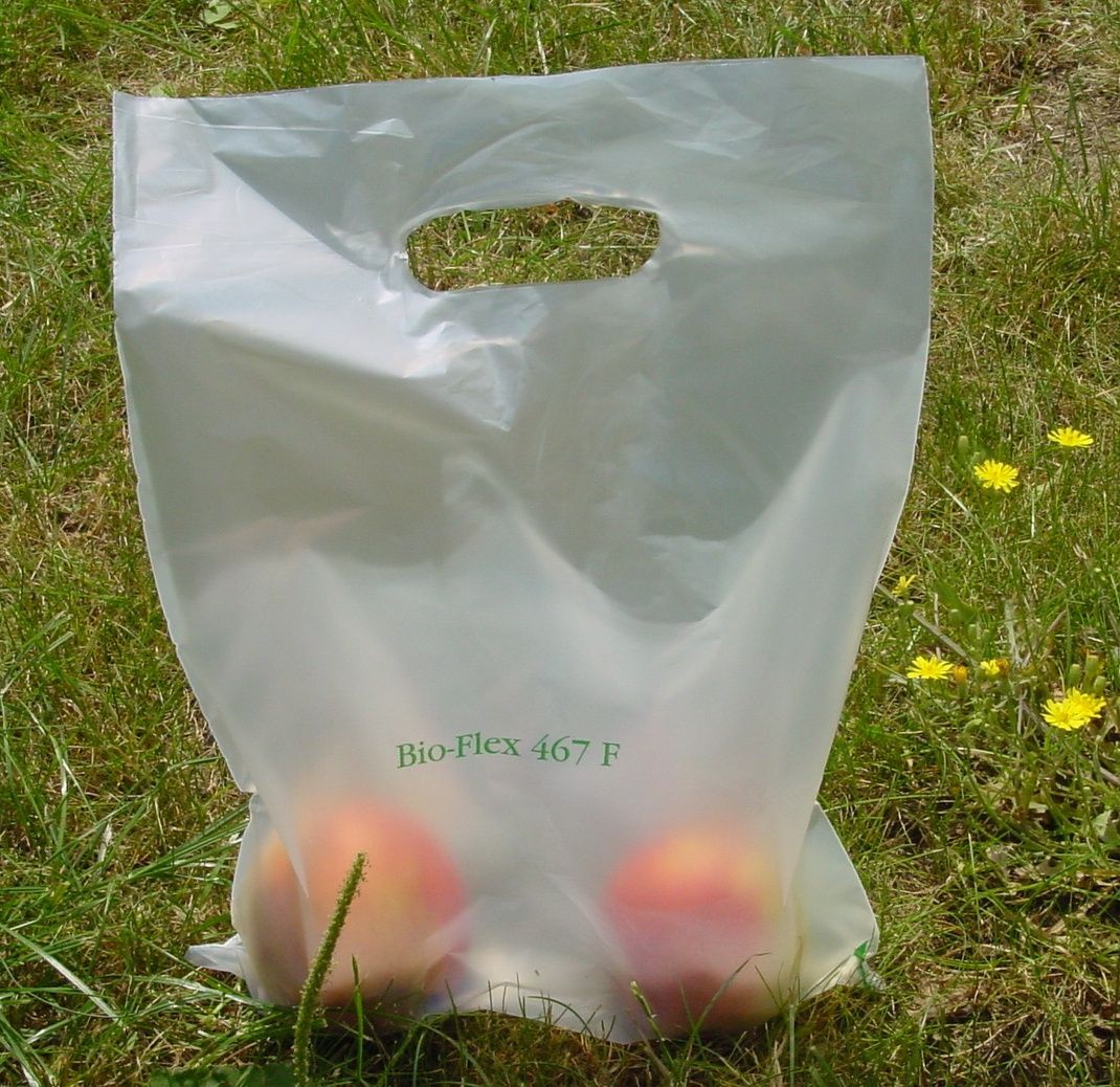 sacchetti biodegradabili pagamento
