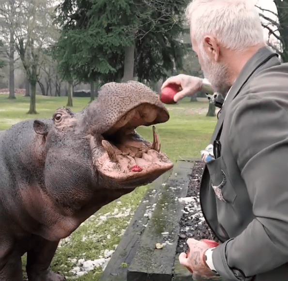 Gianluca Vacchi, un ippopotamo come animale domestico: ‘Se continua a mangiare così chiederò un prestito’