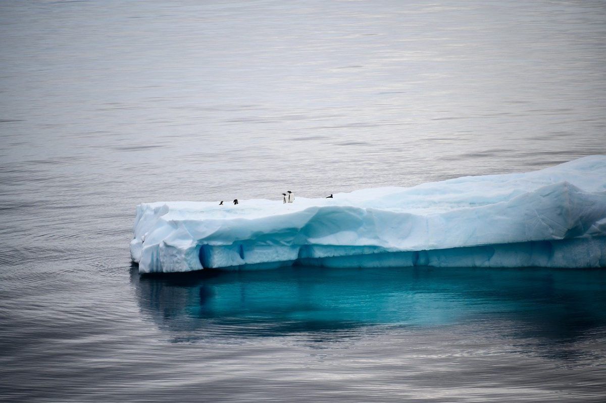 Antartide, si stacca l’iceberg più grande al mondo: è grande quanto il Molise