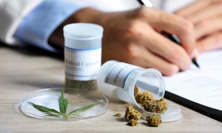 Cannabis per uso medico