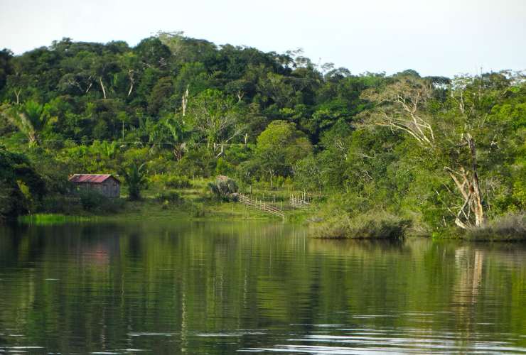 Amazzonia 