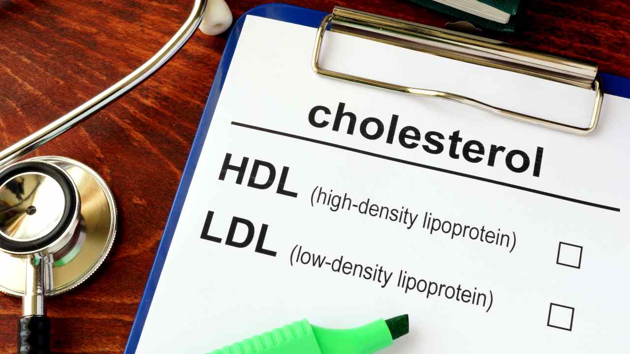 HDL e LDL