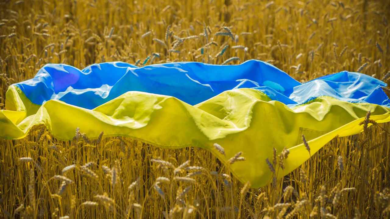 Grano con bandiera ucraina