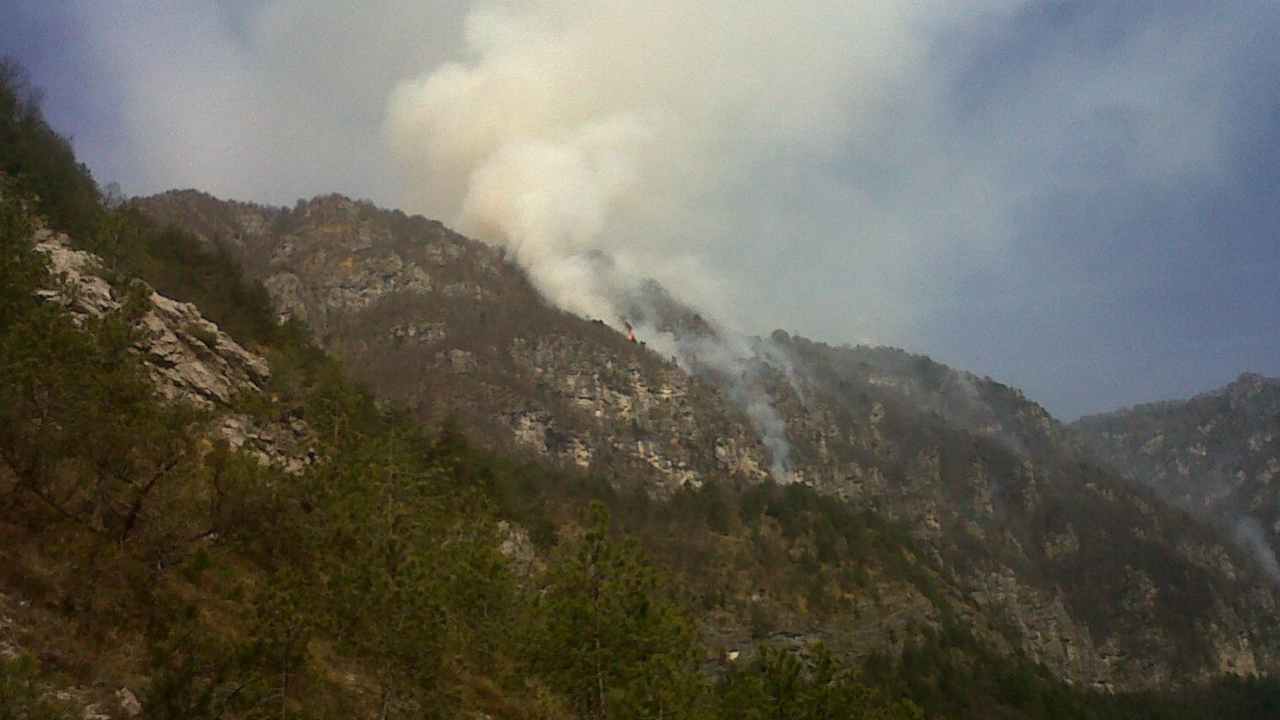 Bosco in Friuli in fiamme
