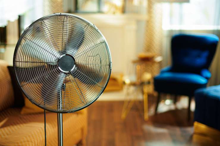 fan at home