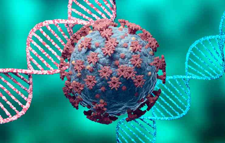 Coronavirus e DNA