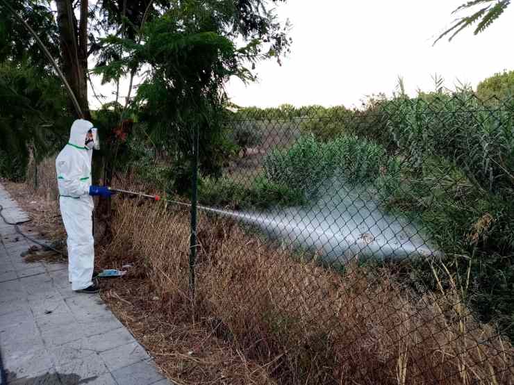 Disinfestazione contro le zanzare