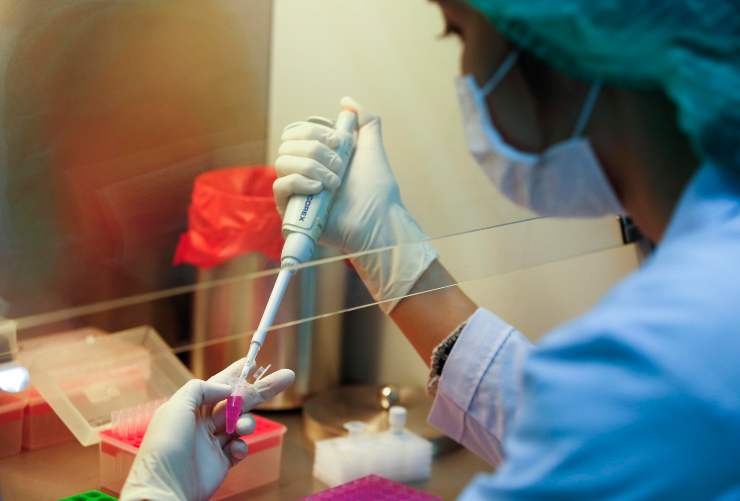 Tomato flu in laboratorio