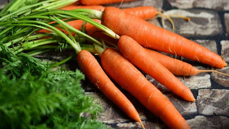 Carote con ciuffo 