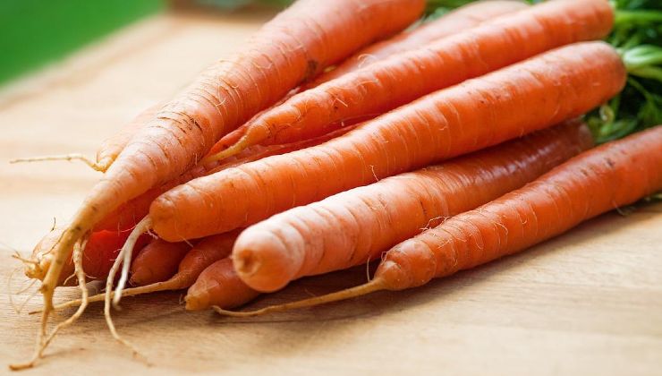 Carote dell'orto