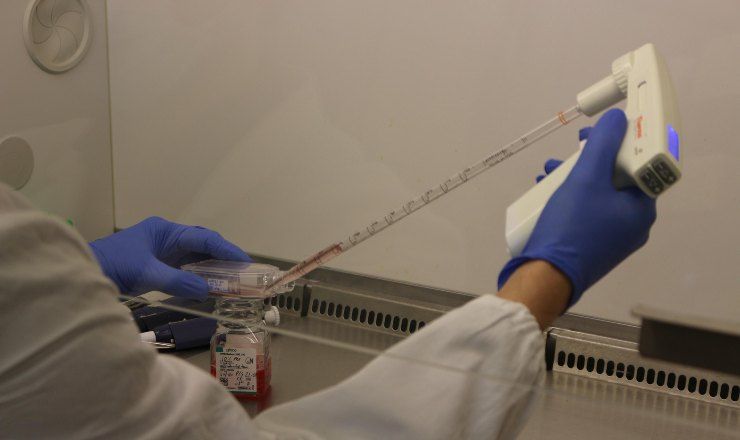 sperimentazione con cellule staminali
