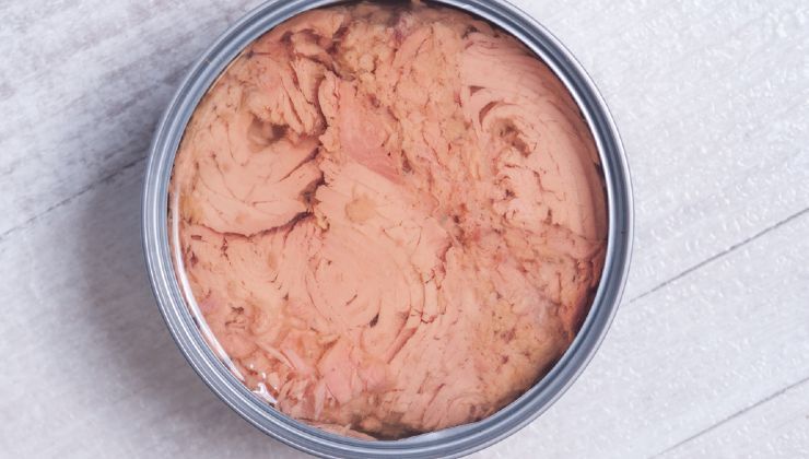 Tonno in scatola lavorazione e storia 