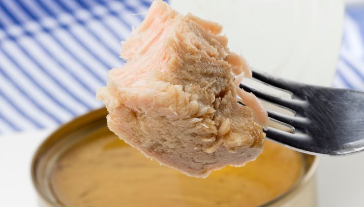 Tonno delle migliori marche