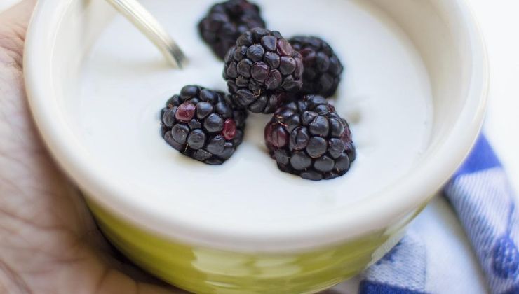 Yogurt with fruit 