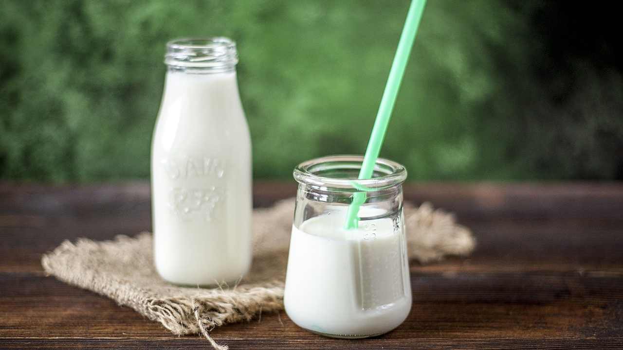 Yogurt nelle piante rimedio naturale