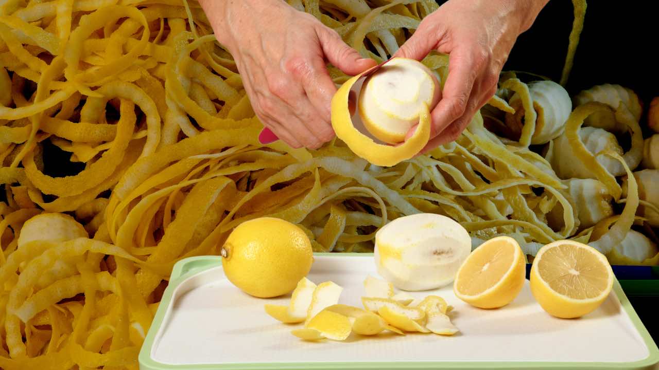 Bucce di limone