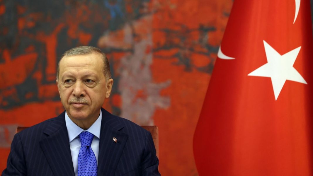 Erdogan e le misure economiche in vista delle elezioni in Turchia