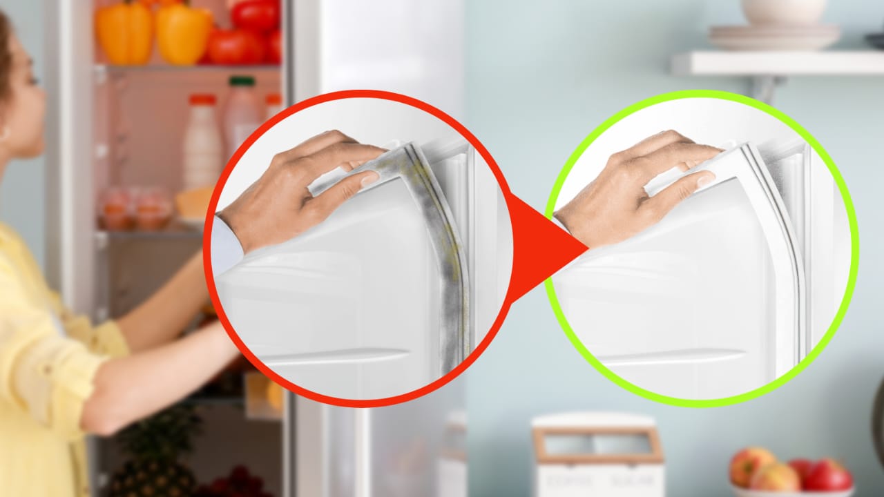 Guarnizione del frigorifeo