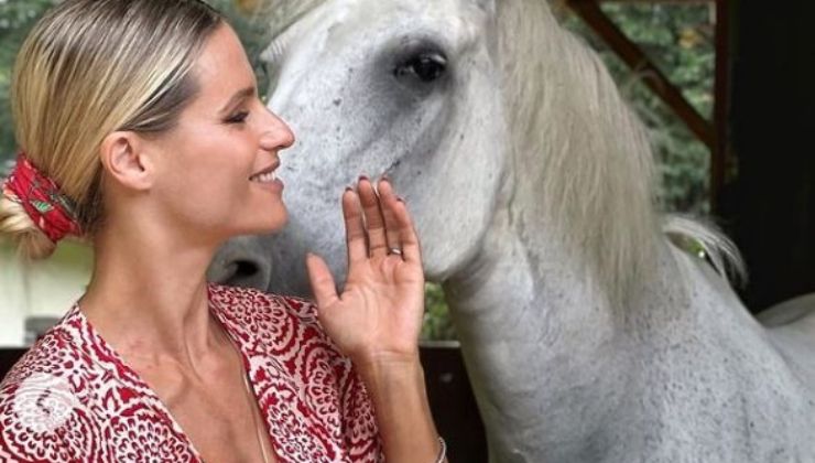 Michelle Hunziker e lo scatto incriminato su Instagram