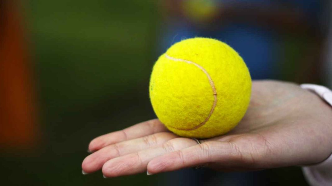 Pallina da tennis in lavatrice, l'antico rimedio delle nonne: risolve