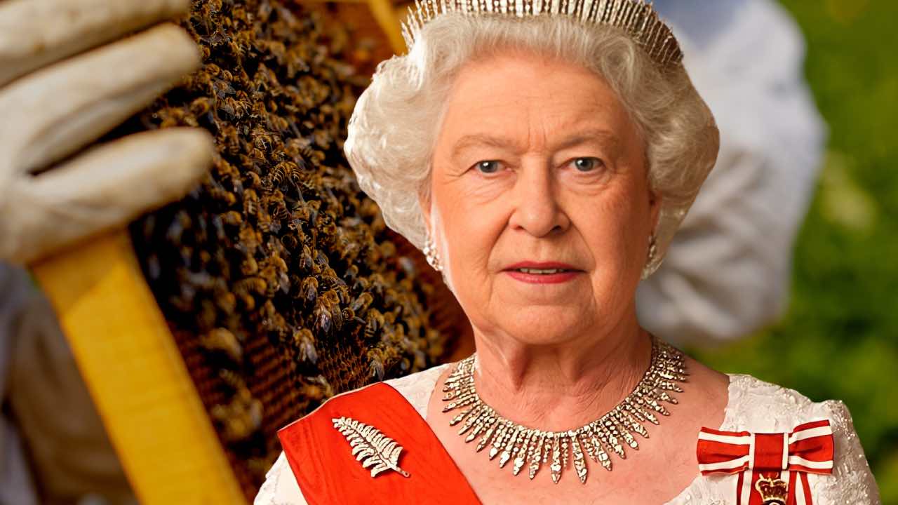 Regina e le api