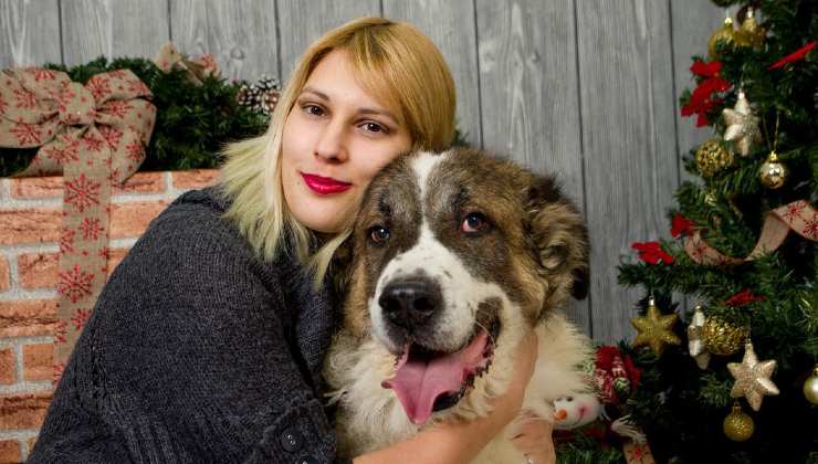 Amico a quattro zampe 