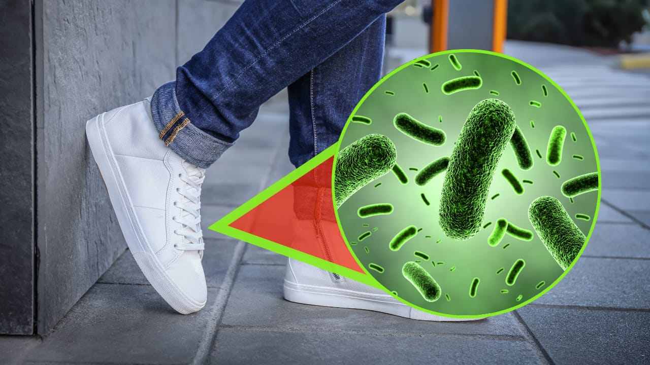 batteri scarpe