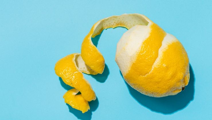 Buccia di limone 