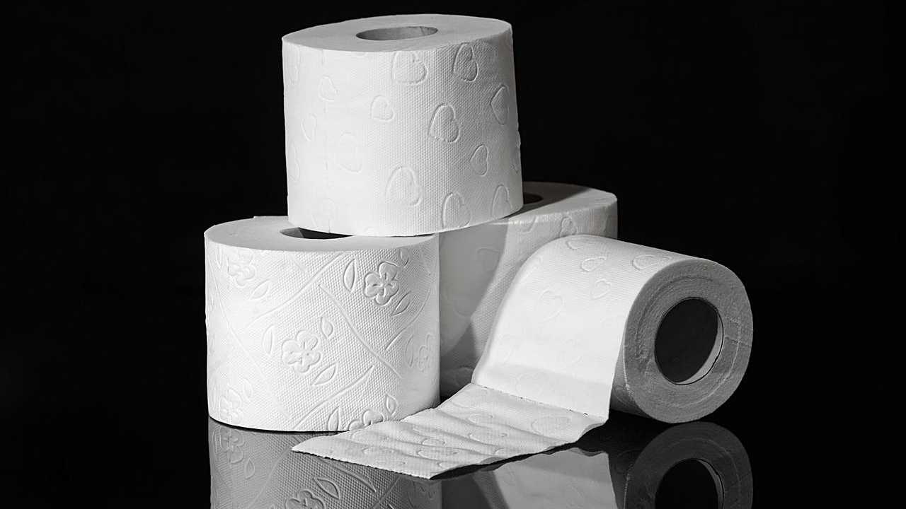 Rouleaux de papier toilette