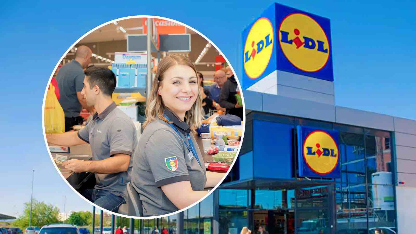 Working at Lidl, how much do employees earn?  The salary is really good