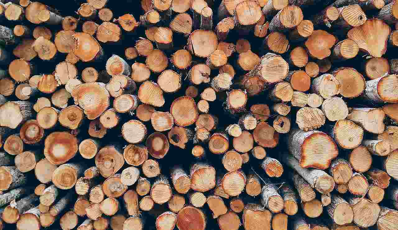 legna da bruciare
