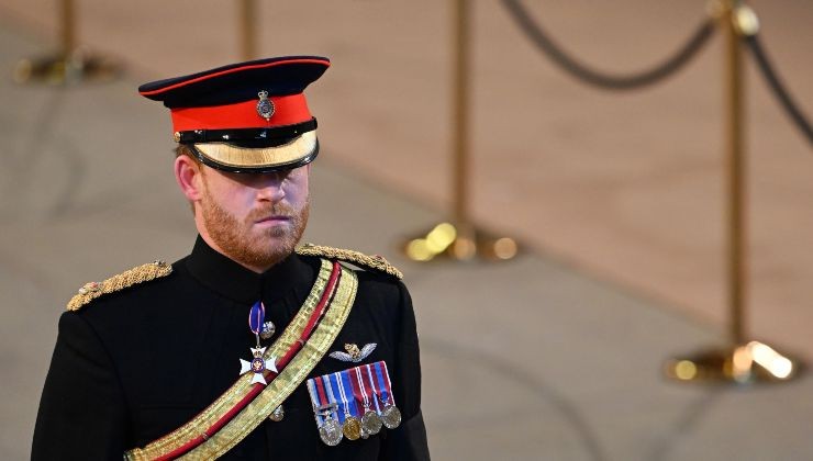 Principe Harry con la divisa reale 