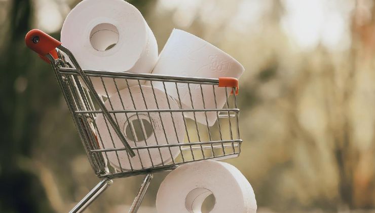 History of toilet paper