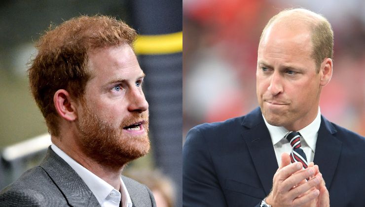 William e Harry commossi